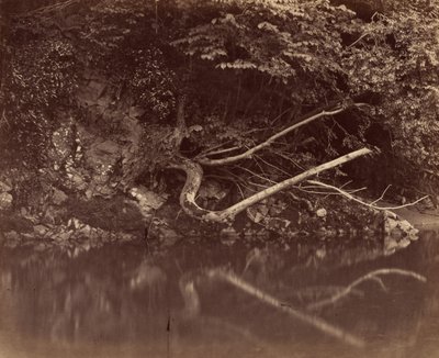 ضفة النهر في وادي نيث، ج. 1855 (صورة) بواسطة GB Gething