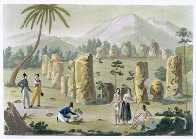 &39;House of the Ancients&39; ، جزيرة تينيان ، اللوحة 31 من "Le Costume Ancien et Moderne" بقلم جول فيراريو ، نُشرت في 1820s-30s (انظر أيضًا 206893) بواسطة G. براماتي