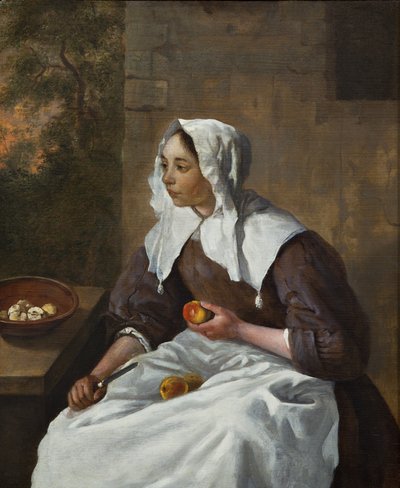  بواسطة غابرييل ميتسو