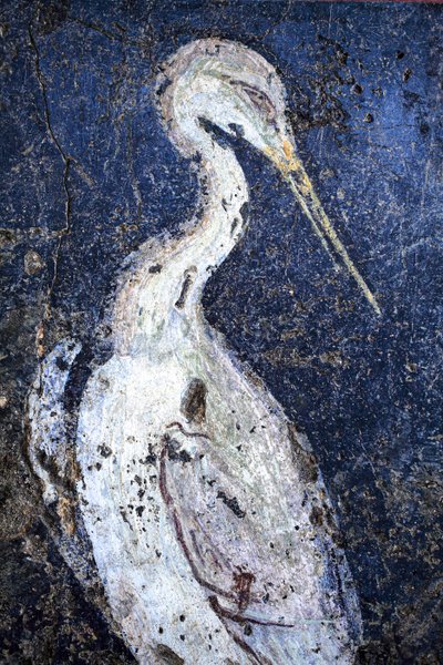 اللوحة الجدارية الرومانية بواسطة جالو رومان