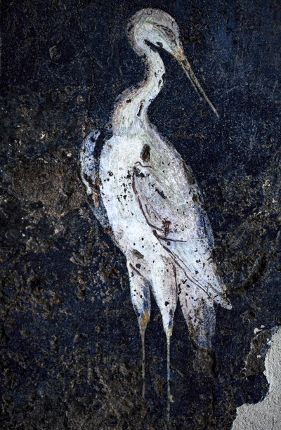 اللوحة الجدارية الرومانية بواسطة جالو رومان