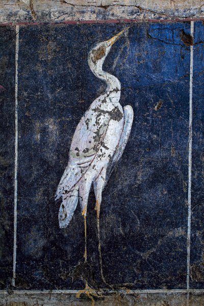 اللوحة الجدارية الرومانية بواسطة جالو رومان