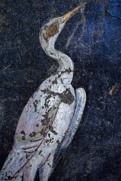 اللوحة الجدارية الرومانية بواسطة جالو رومان