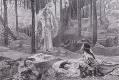 الوحي (اكتشاف Brunnhilde Sieglinde و Siegmund) (litho) بواسطة جاستون بوسير