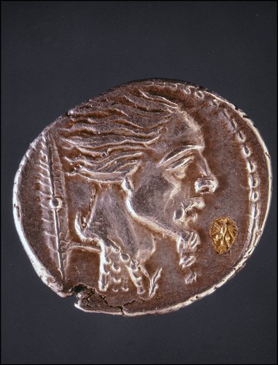 افترض ملف تعريف Vercingetorix على قطعة Gauloise. متحف جمع الميداليات. ميلان بواسطة Gaulish Gaulish