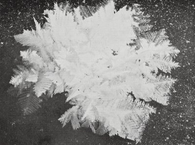 سويسرا بواسطة جيفري رولاند بالانس