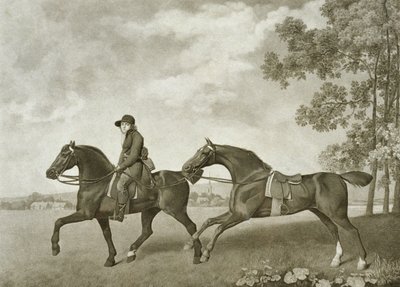 Two Hacks, engraved by George Townley Stubbs (bap.1748-c.1815) (litho) بواسطة جورج (بعد) ستابس