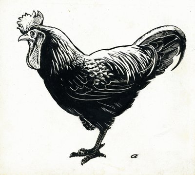الدجاجة ، 1950s (scraperboard) بواسطة جورج آدمسون