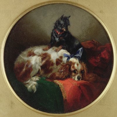 Blenheim Spaniel and Terrier ، اللوحة بعد JF Herring (1795-1865) بواسطة جورج أرمفيلد