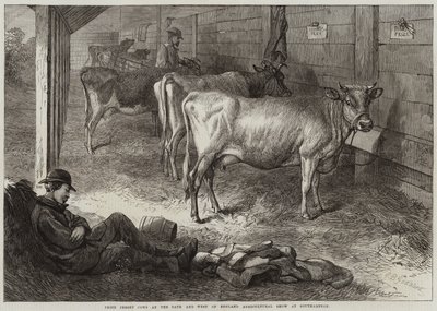 جائزة أبقار جيرسي في عرض باث وغرب إنجلترا في ساوثهامبتون بواسطة George Bouverie Goddard