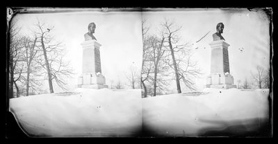 تمثال نصفي Paynes ، Prospect Park ، بروكلين ، 1872-87 (سلبي الرطب) بواسطة جورج برادفورد برينرد