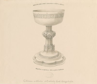Teddesley Park - Chalice: pen drawing, nd [?19th cent] (drawing) بواسطة جورج باكلر