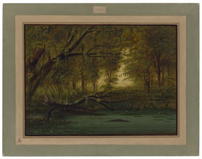  بواسطة جورج كاتلين