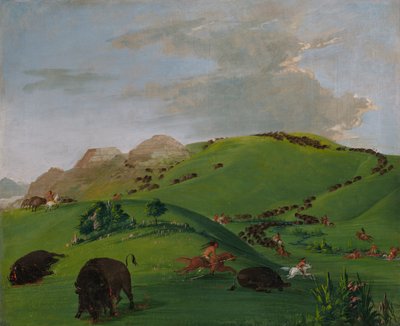 بوفالو تشيس ، مصب يلوستون ، 1832-1833. بواسطة جورج كاتلين