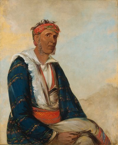  بواسطة جورج كاتلين