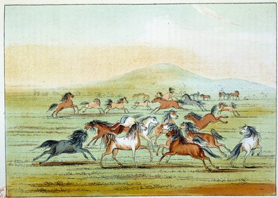 هنود أمريكا: خيول برية يصطادها الهنود. رسم جورج كاتلين (1794-1872) بواسطة جورج كاتلين