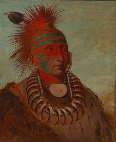لا-هو-مون-يا ، من لا يعير أي اهتمام ، 1844. بواسطة جورج كاتلين