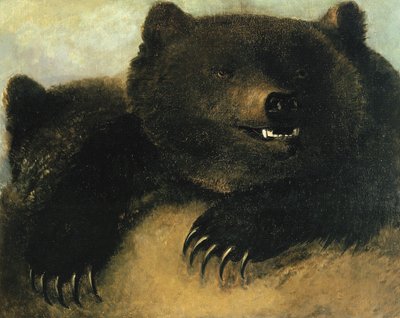 أسلحة والدب أشيب ، 1846-1848. بواسطة جورج كاتلين