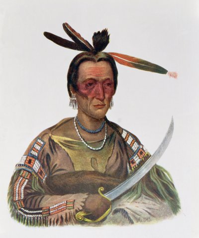 To-Ka-Cou ، رئيس Yankton Sioux ، 1837 ، رسم توضيحي من "القبائل الهندية لأمريكا الشمالية ، المجلد الأول" ، بقلم توماس ل. مكيني وجيمس هول ، الحانة. جون جرانت بواسطة جورج كوك