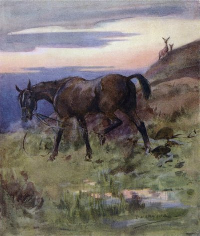 رسم توضيحي لقصة أيل أحمر (لون ليثو) بواسطة جورج دينهولم ارمور