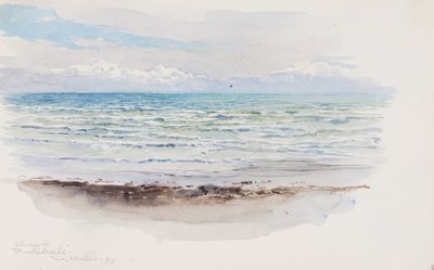 شور في Pwllheli ، N. ويلز ، 1899. بواسطة جورج إلبرت بور