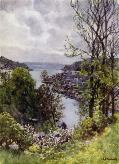 Fowey (لون ليثو) بواسطة جورج فرانك نيكولز
