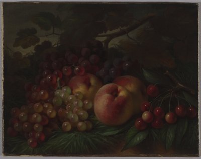 الخوخ والعنب والكرز ، 1860-70 (زيت على قماش) بواسطة قاعة جورج هنري