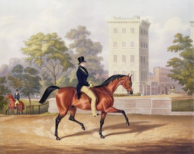 ماركيز Anglesea على ظهور الخيل في هايد بارك ، في سنته الثمانين ، محفورة بواسطة ج.هاريس ، 1847 (نقش الألوان) بواسطة جورج هنري لابورت