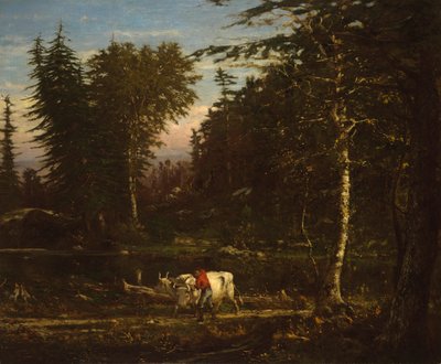في آديرونداكس بواسطة George Inness