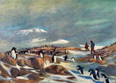 عودة البطاريق ، 1908 ، 1909. بواسطة جورج مارستون