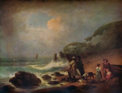 تصوير طيور البحر 1795 بواسطة جورج مورلاند