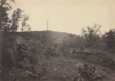 جبل الصنوبر ، 1860. بواسطة جورج إن بارنارد