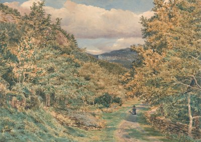 طريق بالقرب من Bettws-y-Coed بواسطة جورج برايس بويس