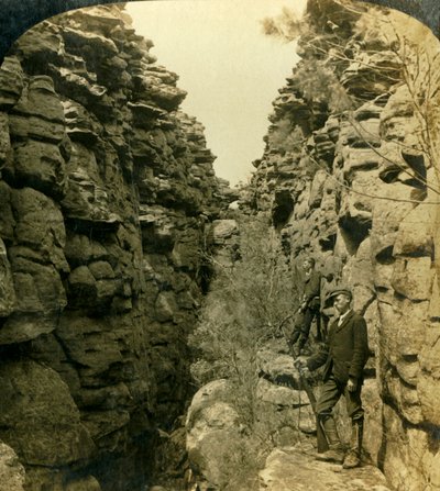 شارع العجائب ، أو الشارع الصامت ، جرامبيانز ، فيكتوريا ، أستراليا ، 1908. بواسطة جورج روز