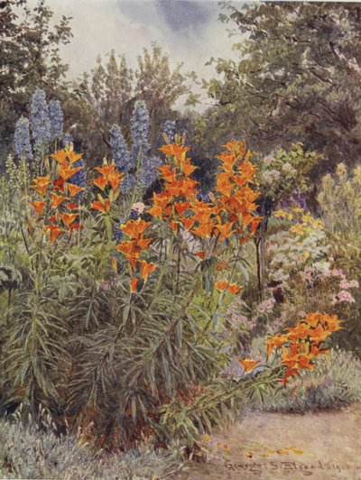 زنابق البرتقال و Larkspur بواسطة جورج صموئيل الجود