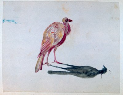 طائر ، 1820-1876 بواسطة جورج ساند