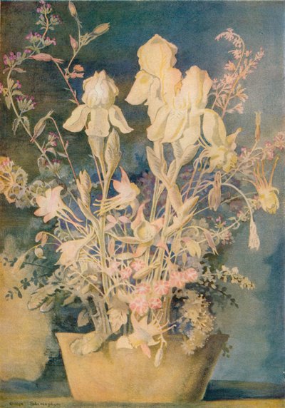 رسم زهرة لجورج شيرينغهام ، c1910-1920 ، 1936. بواسطة جورج شيرينغهام