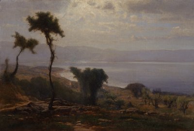 مناظر طبيعية ، 1871 بواسطة George Snr. Inness