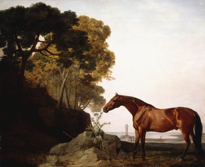 خليج عربي في مناظر ساحلية ، 1779 بواسطة جورج ستابس