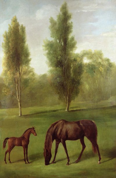 A Chestnut Mare and Foal in a Wooded Landscape, c.1761-63 (oil on canvas) بواسطة جورج ستابس