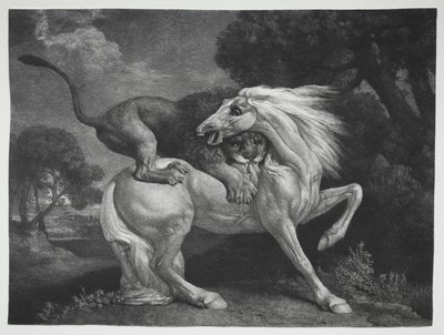 حصان هاجمه أسد ، 1788. بواسطة جورج ستابس