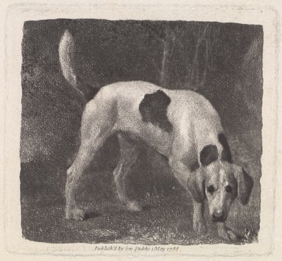 الكلب (A Foxhound on the Scent) منقوش بواسطة الفنان ، الحانة. 1788 بواسطة جورج ستابس