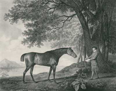 شارك ، محفور من قبل حانة جورج تاونلي ستابس (1756-1815). 1794 (النقش) بواسطة جورج ستابس