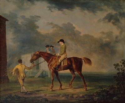 السير سالومون ، A Bay Racehorse مع J.Singleton ، نيوماركت (زيت على قماش) بواسطة جورج ستابس