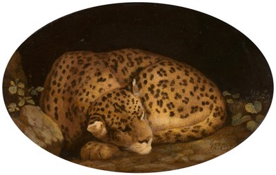 النمر النائم 1777. بواسطة جورج ستابس