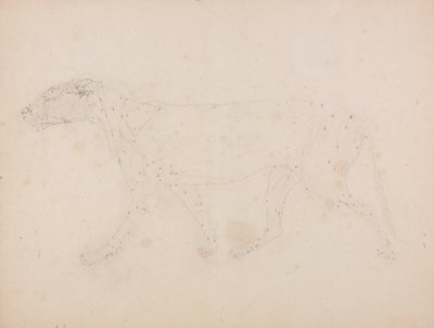 دراسة لنمر ، منظر جانبي ، من معرض تشريحي مقارن لهيكل جسم الإنسان مع نمر وطيور مشتركة ، 1795-1806 (جرافيت على ورق منسوج) بواسطة جورج ستابس