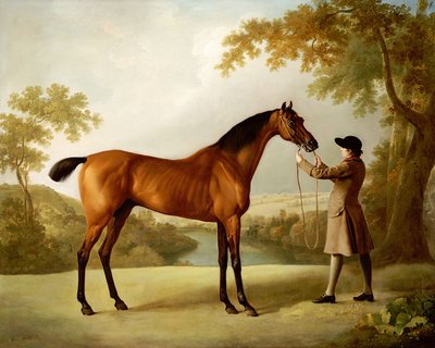 تريسترام شاندي ، عرق سباق خليج عقده العريس في المناظر الطبيعية الواسعة ، c.1760 بواسطة جورج ستابس