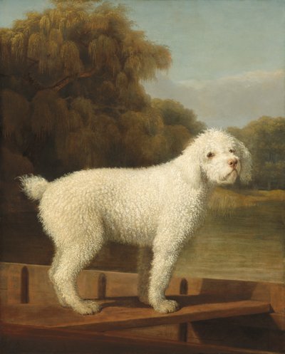 بودل أبيض في بونت ، c.1780 بواسطة جورج ستابس