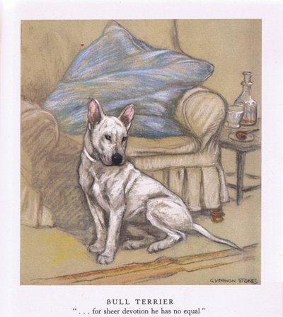 جحر الثور (ليثو ملون) بواسطة جورج فيرنون ستوكس