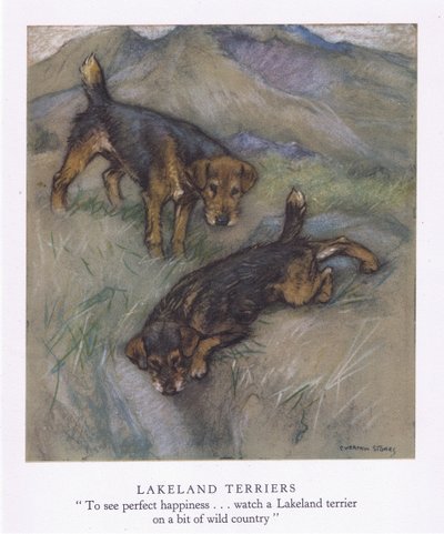 كلاب ليكلاند تيريرز (طباعة حجرية ملونة) بواسطة جورج فيرنون ستوكس